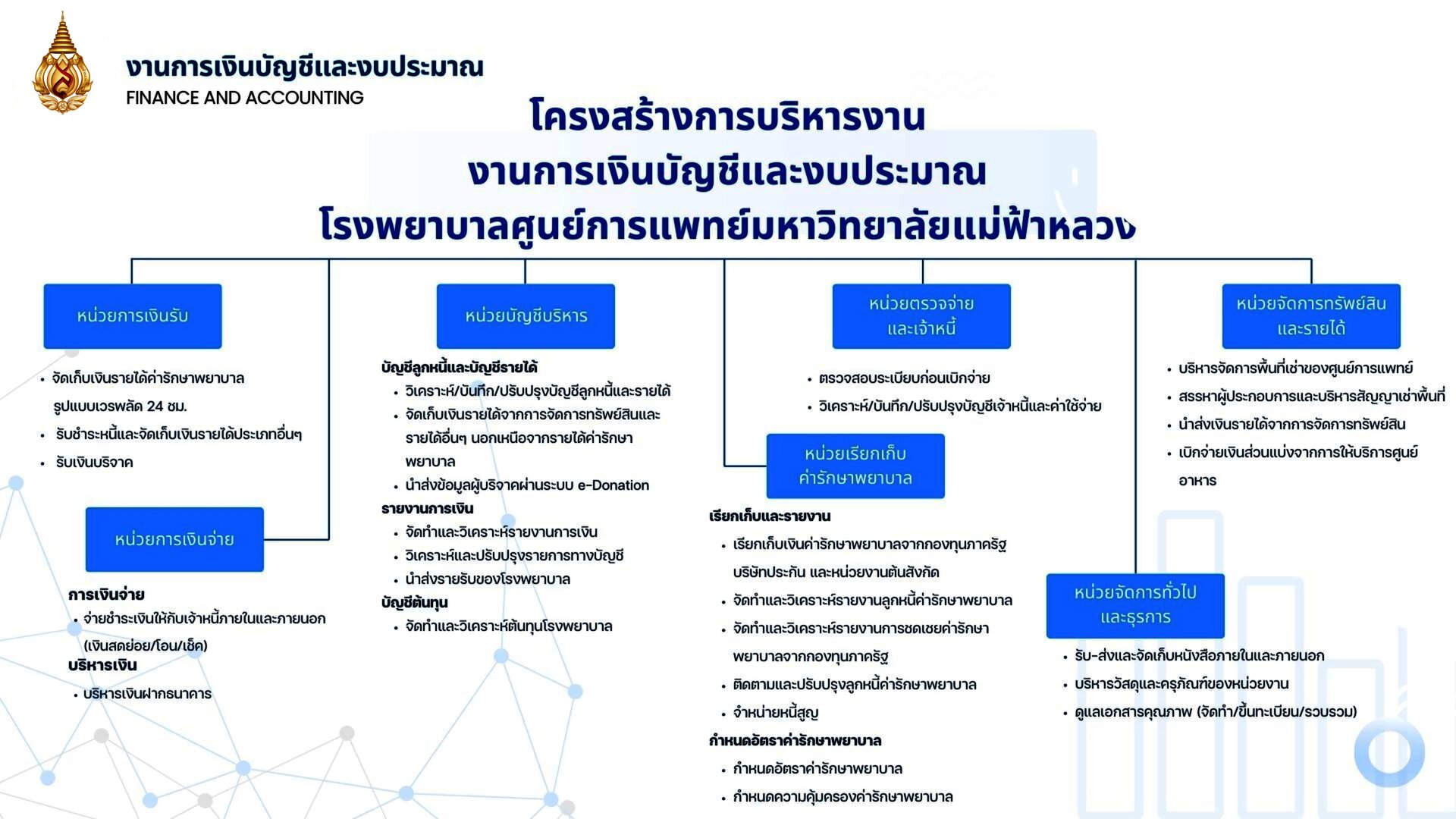 โครงสร้างองค์กร
